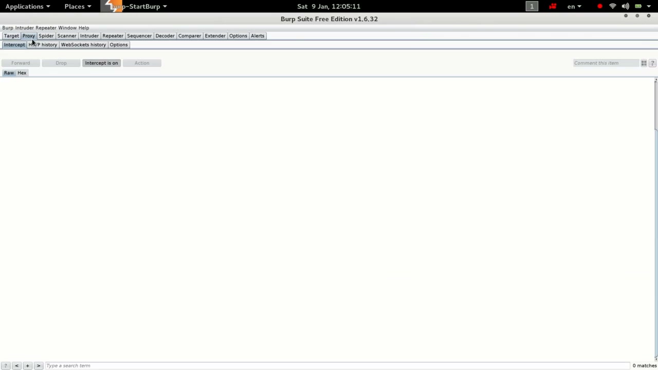 Enable Intercept in Proxy Tab