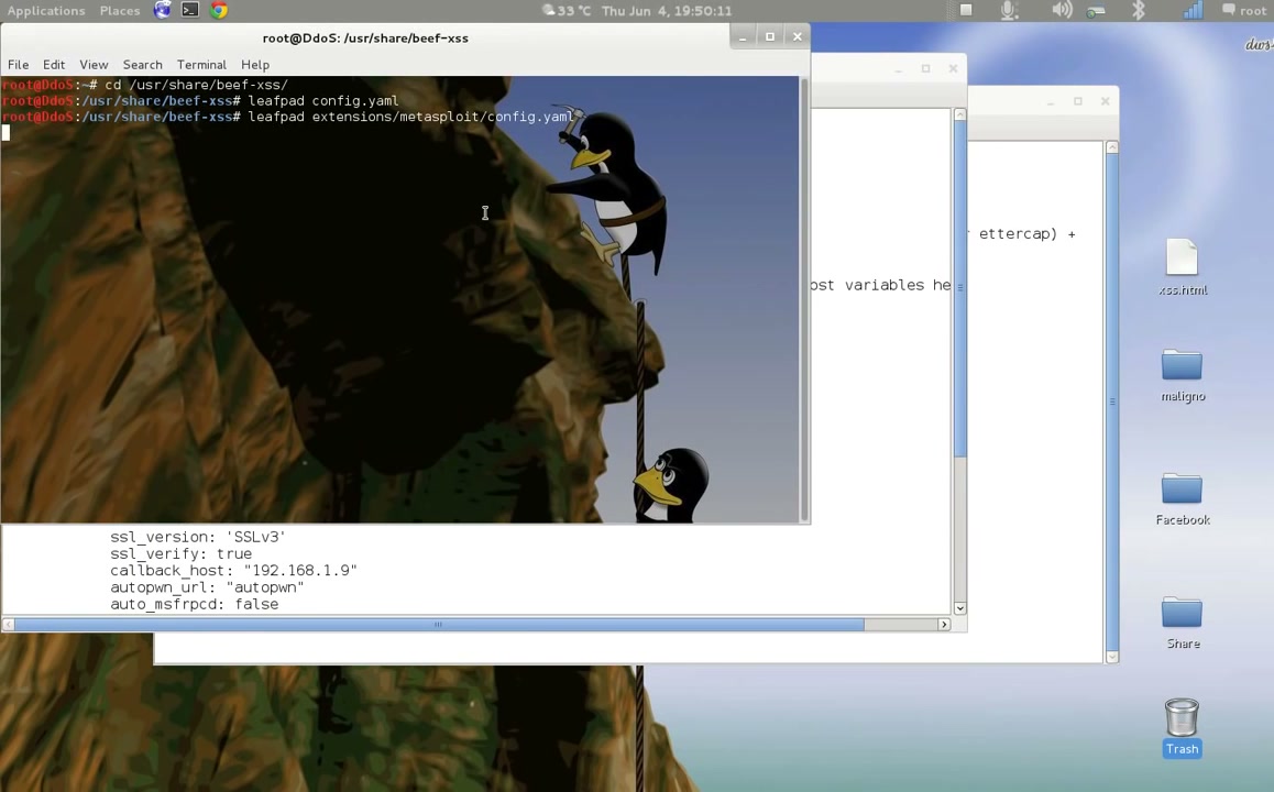 Start BeEF Framework