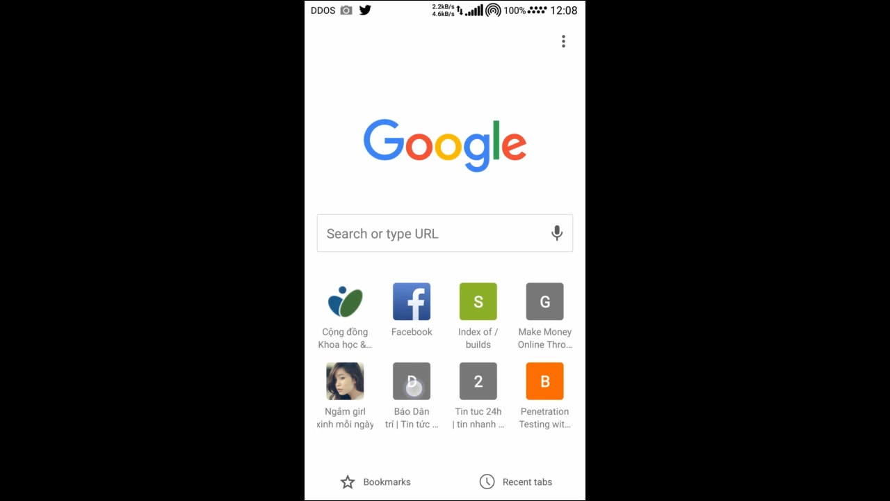 Open Web Browser