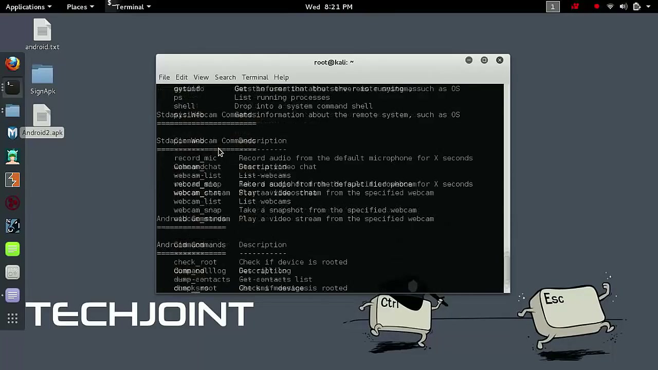 Open Terminal and Execute Commands